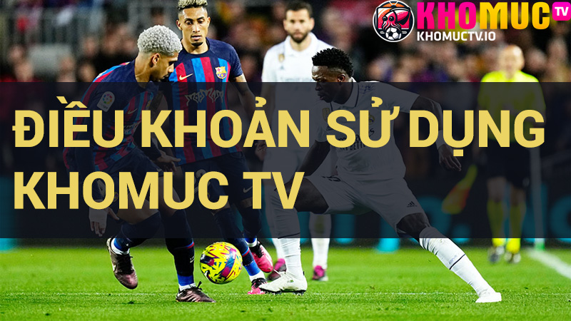 điều khoản sử dụng